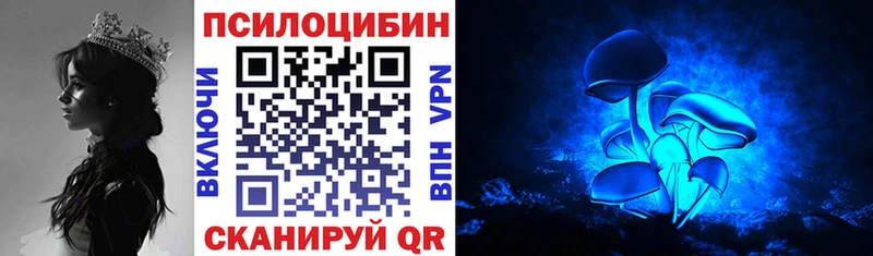 Псилоцибиновые грибы мицелий  сколько стоит  Чкаловск 