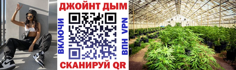Конопля White Widow  KRAKEN как зайти  Чкаловск 